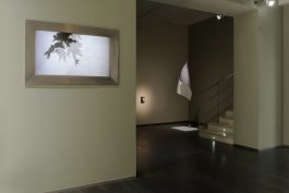 Voskian Studio
